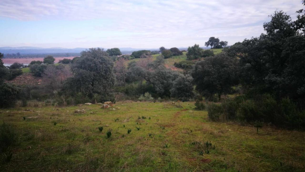 Finca El Vizconde Naturaleza Con Tus Hijos Arquillos Exterior foto